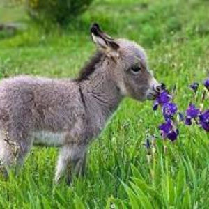 Meet your Posher, Kaci